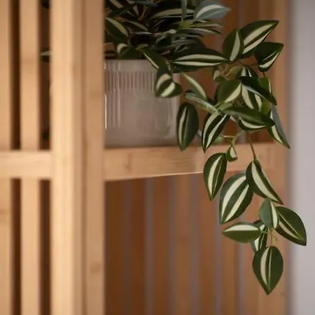 Traditional 2 Bedroom House With Yard Ssch1-1 度假居 Saint Julian's